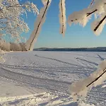 Metsaehirvas Rovaniemi
