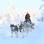 Hotel Metsaehirvas Rovaniemi