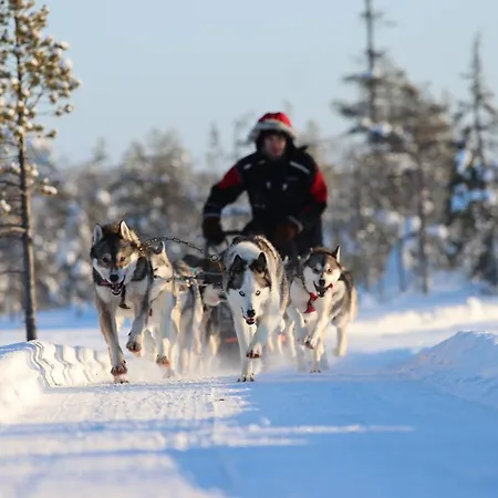 מלון Metsaehirvas