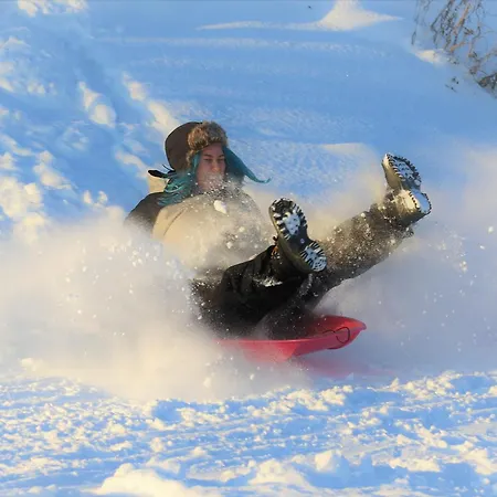 מלון Metsaehirvas 3*