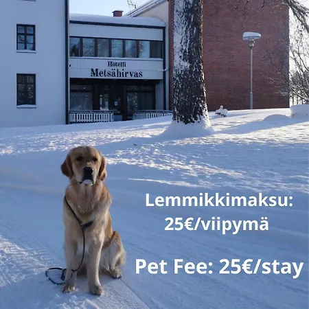 Metsaehirvas 3* Rovaniemi