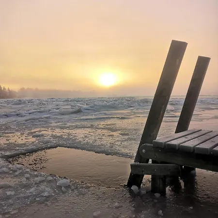 Metsaehirvas Rovaniemi