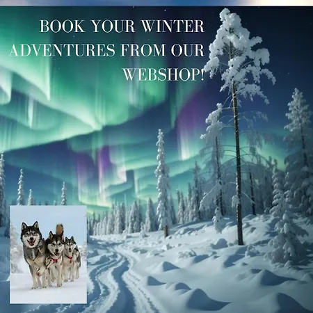 Metsaehirvas 3* Rovaniemi