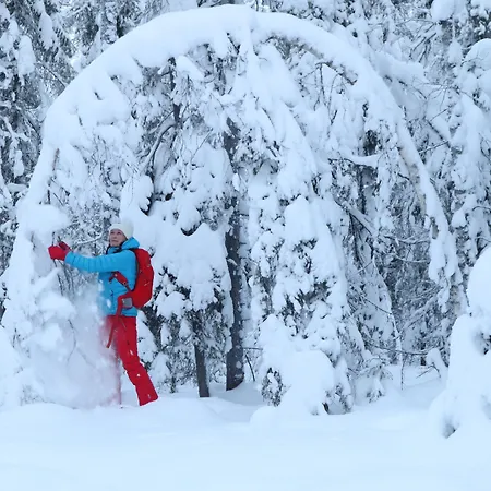 Metsaehirvas Hotel 3*