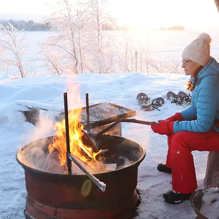 Metsaehirvas Rovaniemi