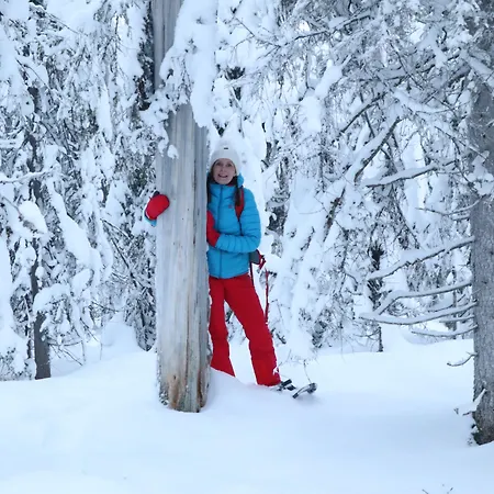 Hotel Metsaehirvas Rovaniemi