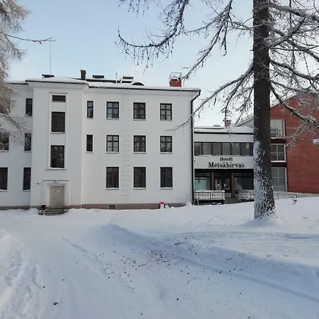 Metsaehirvas Rovaniemi