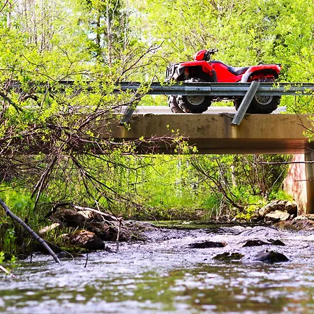 Metsaehirvas Rovaniemi