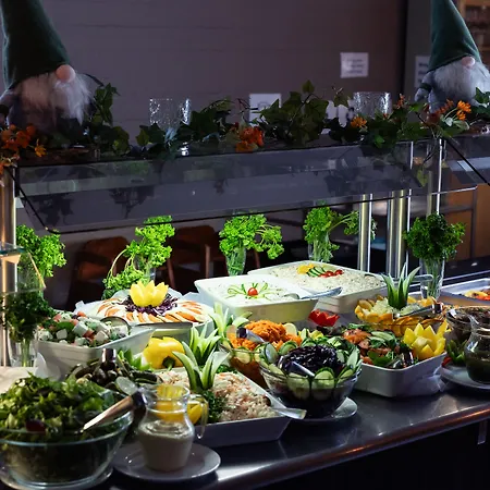 Hotel Metsaehirvas Rovaniemi