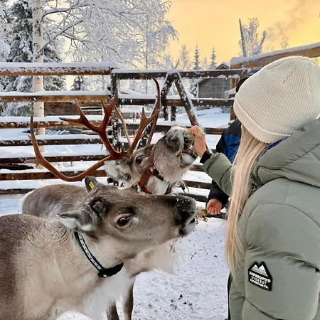 Metsaehirvas 3* Rovaniemi