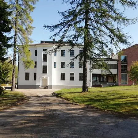 Metsaehirvas 3*
