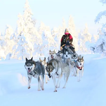 Szálloda Metsaehirvas Rovaniemi
