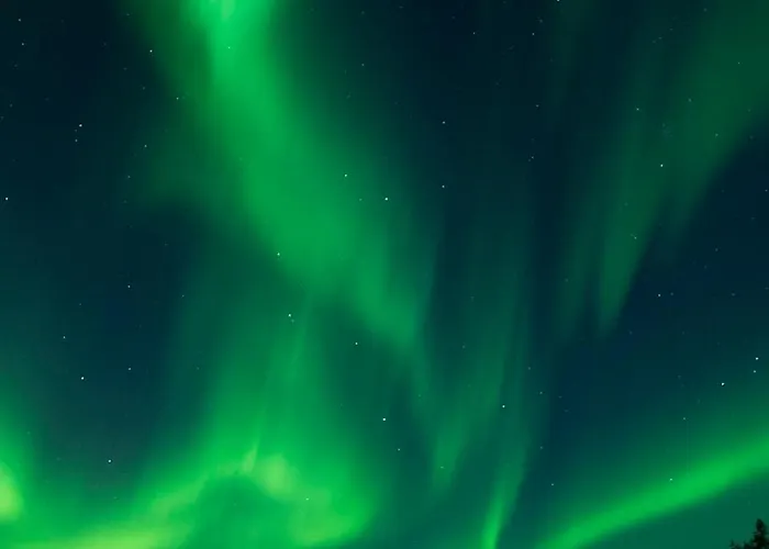 Hotel Metsaehirvas Rovaniemi