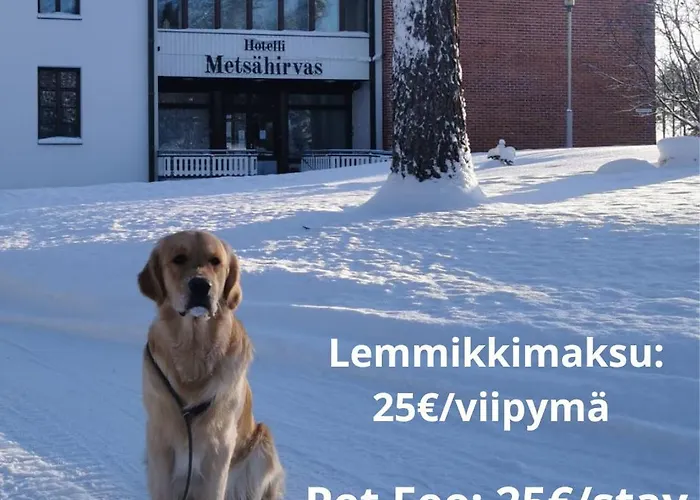 Metsaehirvas 3* Rovaniemi