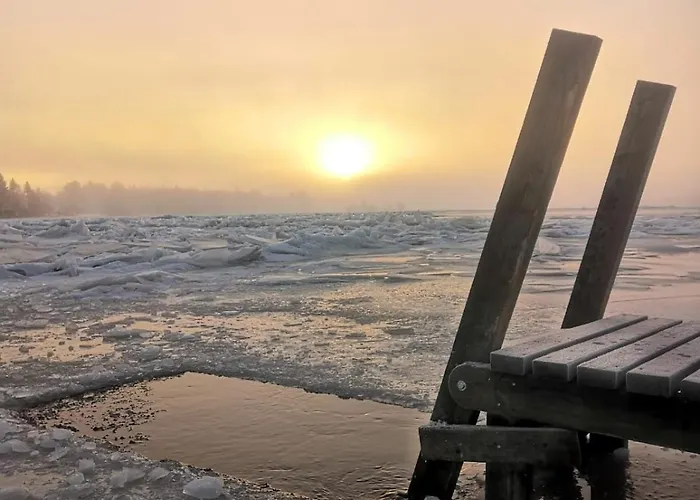 Metsaehirvas ロヴァニエミ