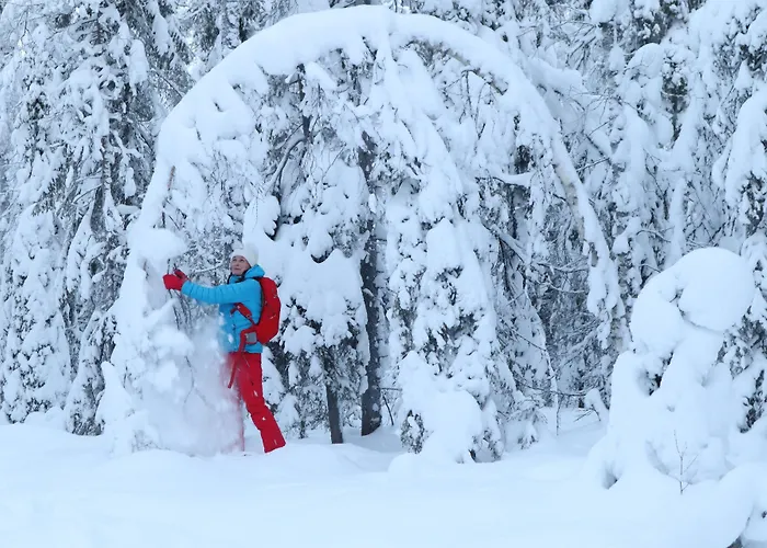 Metsaehirvas Hotel 3*