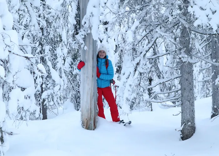 Hotel Metsaehirvas Rovaniemi