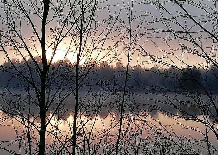 Hotel Metsaehirvas Rovaniemi