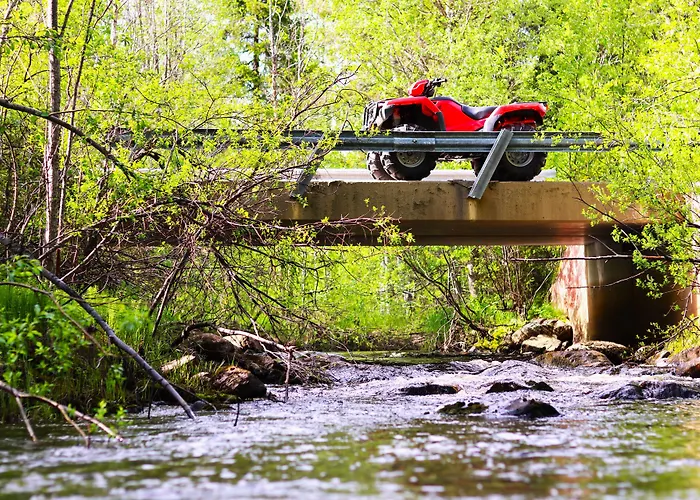 Metsaehirvas Rovaniemi