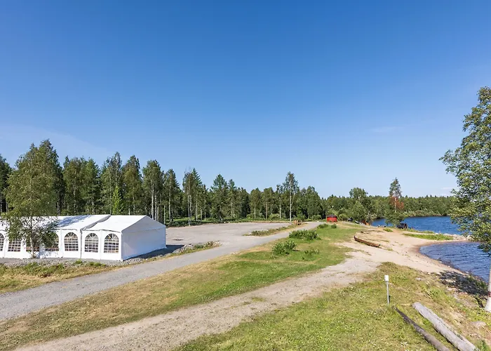 Metsaehirvas Rovaniemi