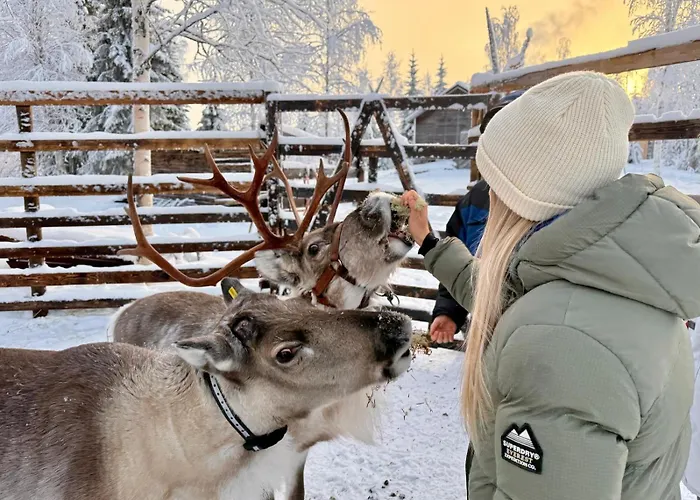 Metsaehirvas 3* Rovaniemi