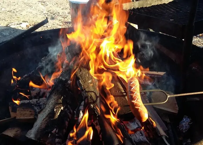 Hotel Metsaehirvas Rovaniemi