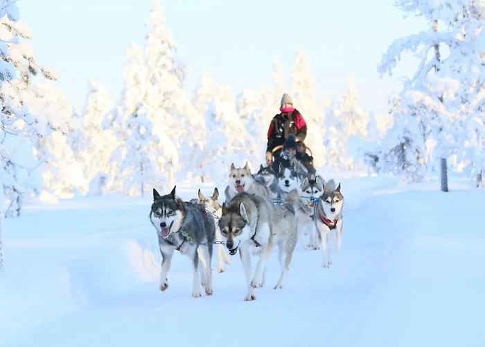 Hotel Metsaehirvas Rovaniemi
