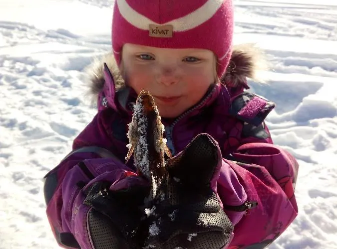 Hotel Metsaehirvas Rovaniemi